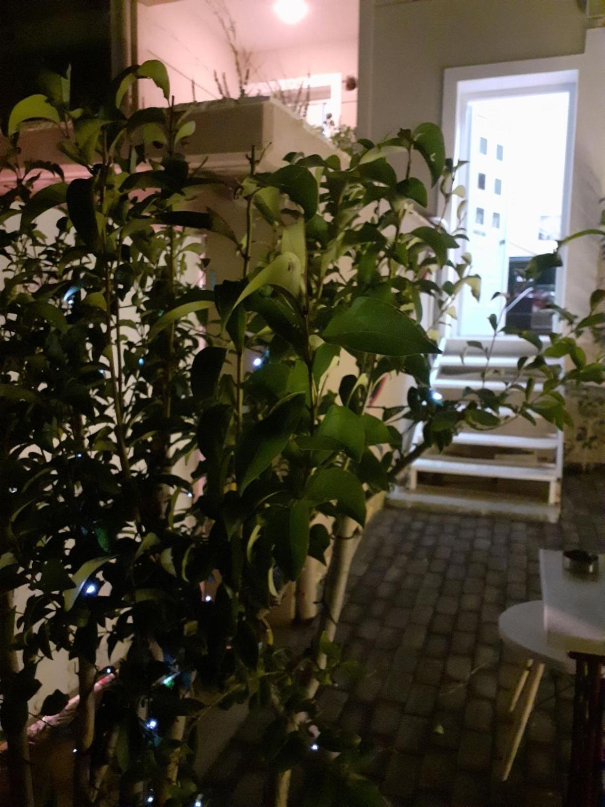Exostis Villa Návplio Eksteriør bilde